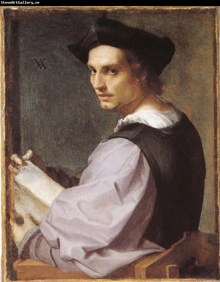 Andrea del Sarto Portratt of young man